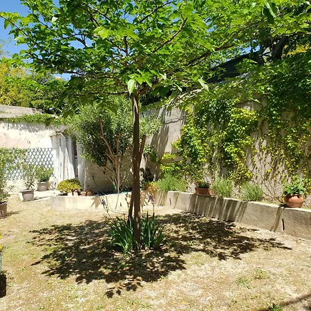 Daire Au Coeur De Avec Jardin Cassis